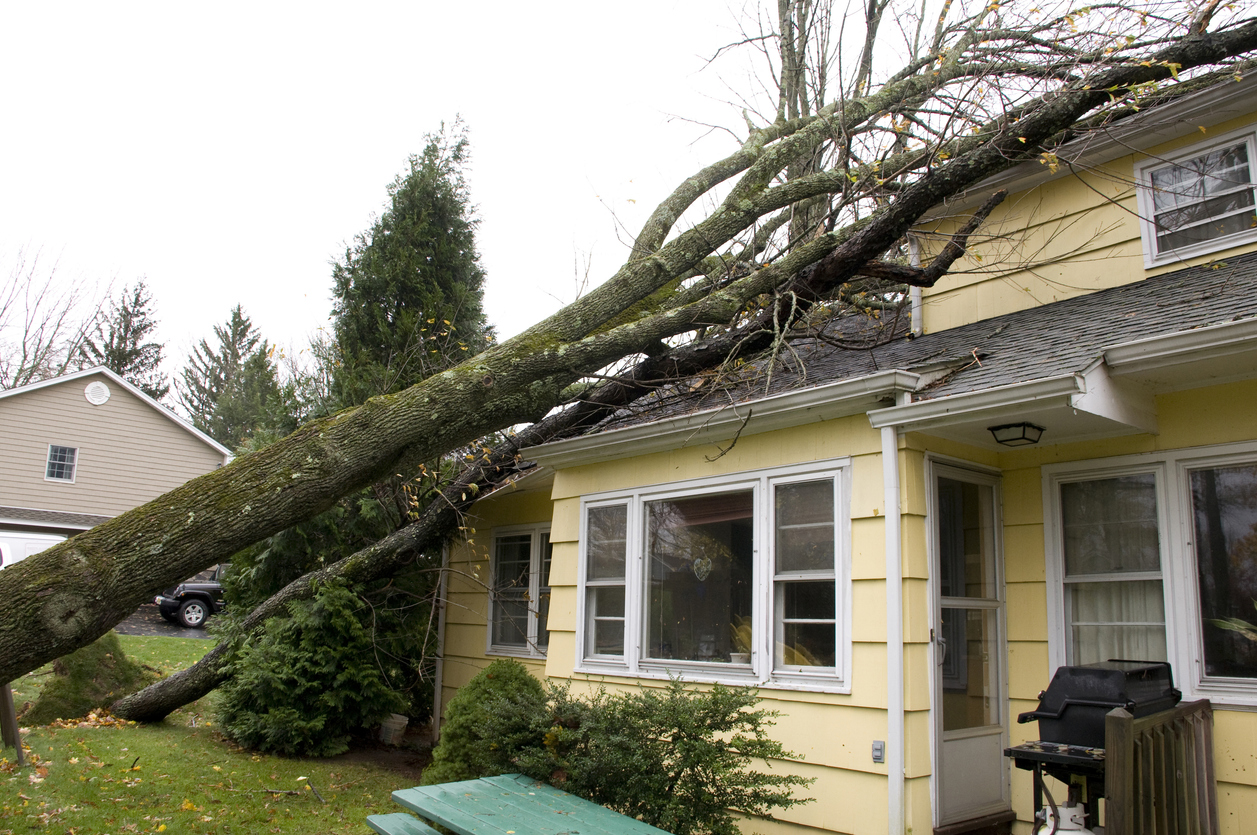 roof insurance claim